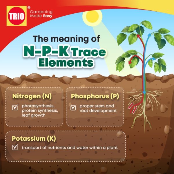 TRIOBaja Vermicast Organic Fertilizer/ TRIOBaja Organik Cacing/ 蚯蚓有机肥 - 1kg - Image 4