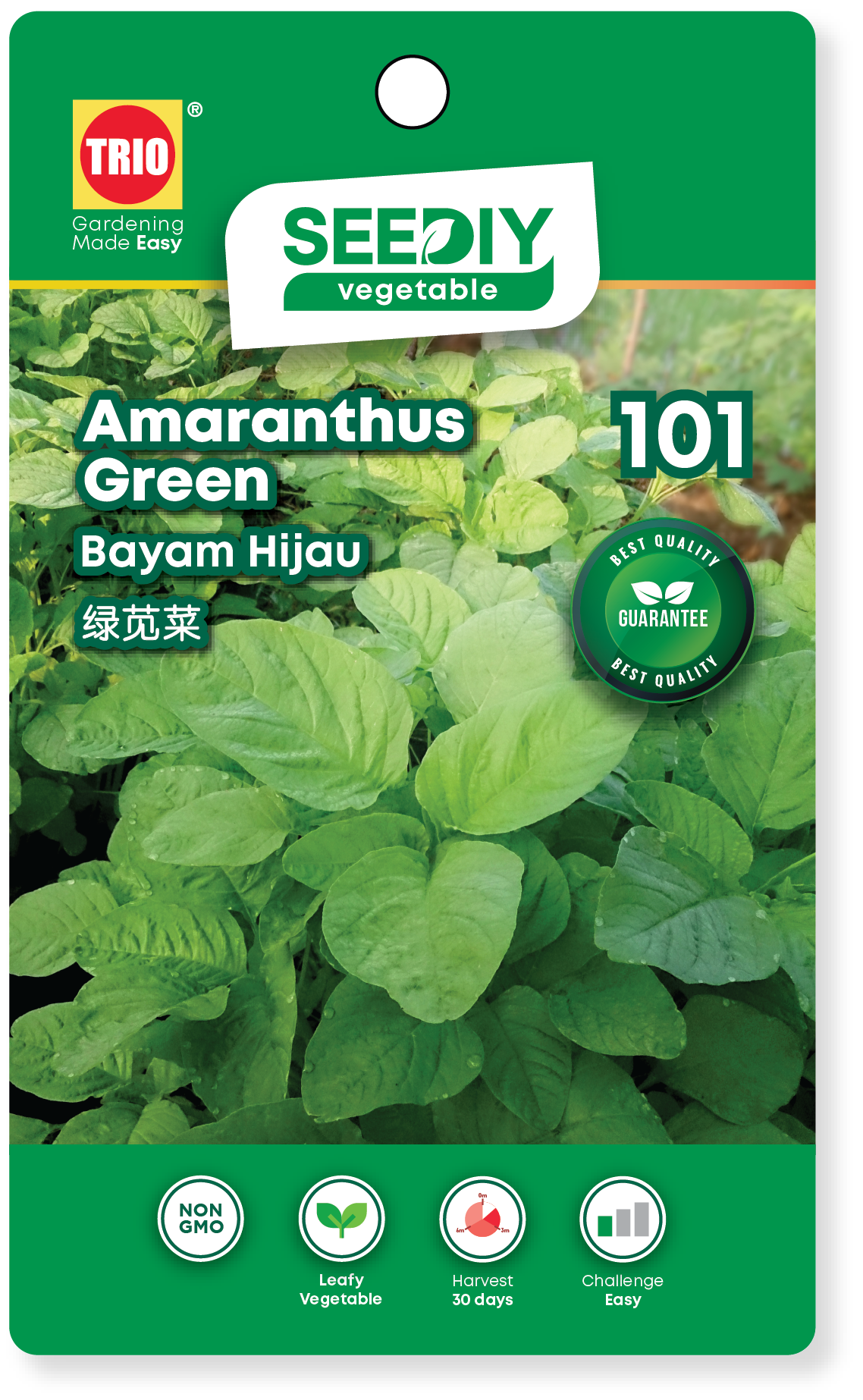 101. Amaranthus Green
