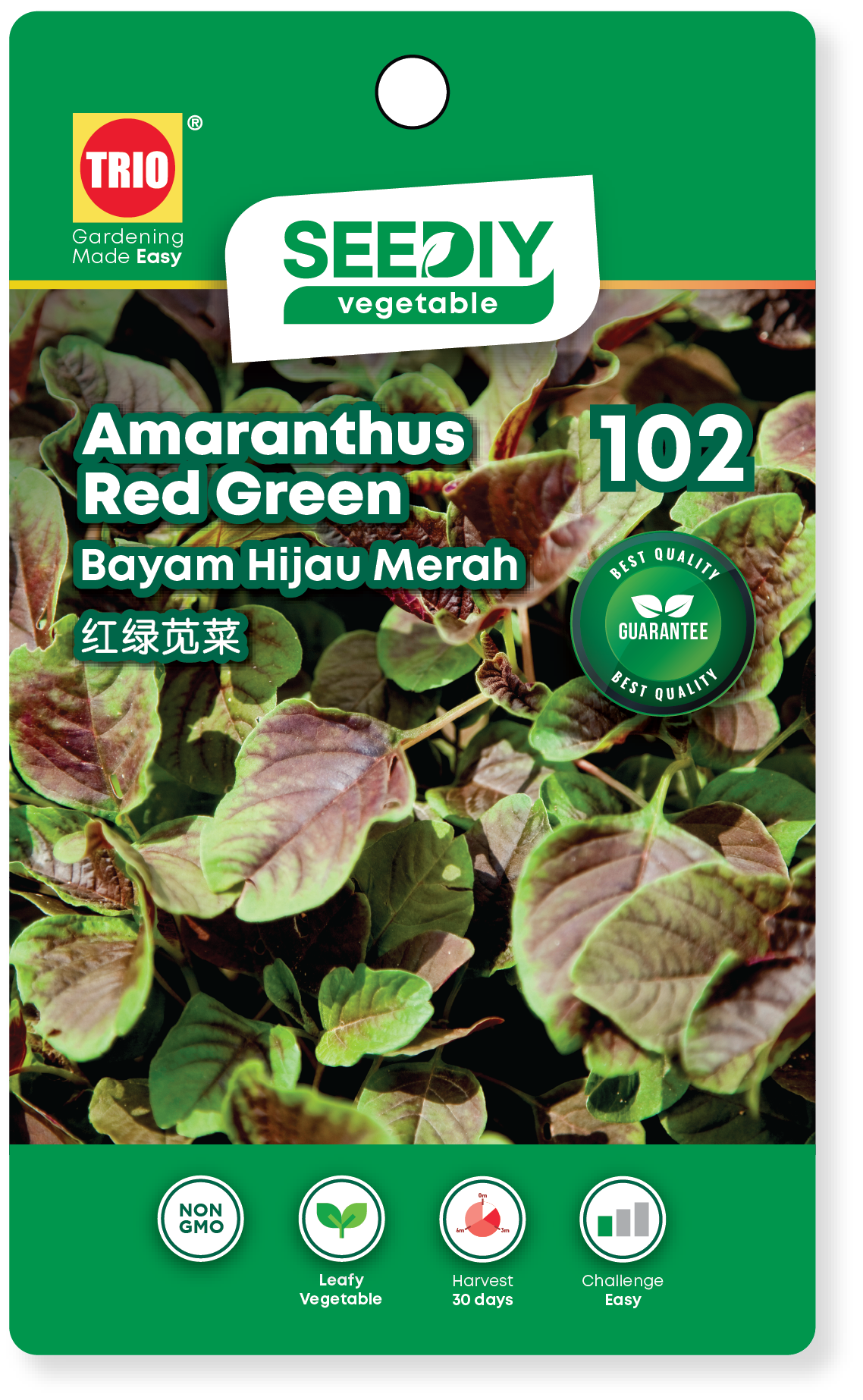 102. Amaranthus Red Green