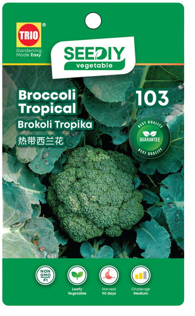 103._Brocolli_Tropical-removebg-preview