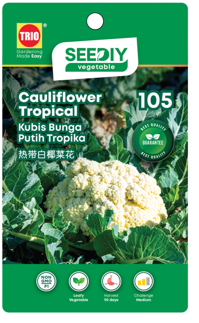 105._Cauliflower_Tropical-removebg-preview