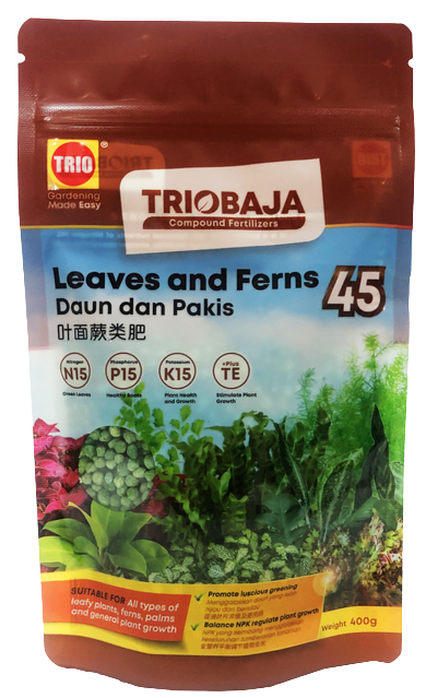 Triobaja_Leaf_and_Fern_400g_Front-removebg-preview