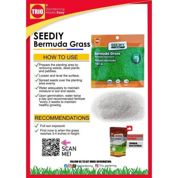 TRIO Bermuda Grass seed 400g - Image 2