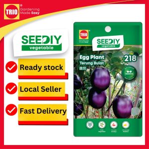 Egg Plant Round 圆茄 Terung Bulat