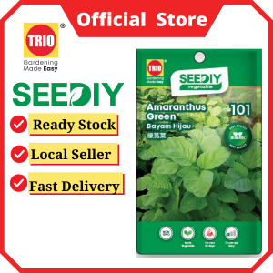 Amaranthus Green 绿苋菜 Bayam Hijau