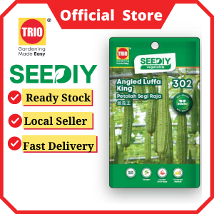 Angled Luffa King 丝瓜王 Petolah Segi Raja