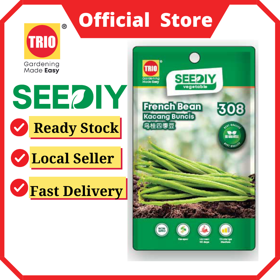 French Bean 乌桂四季豆 Kacang Buncis