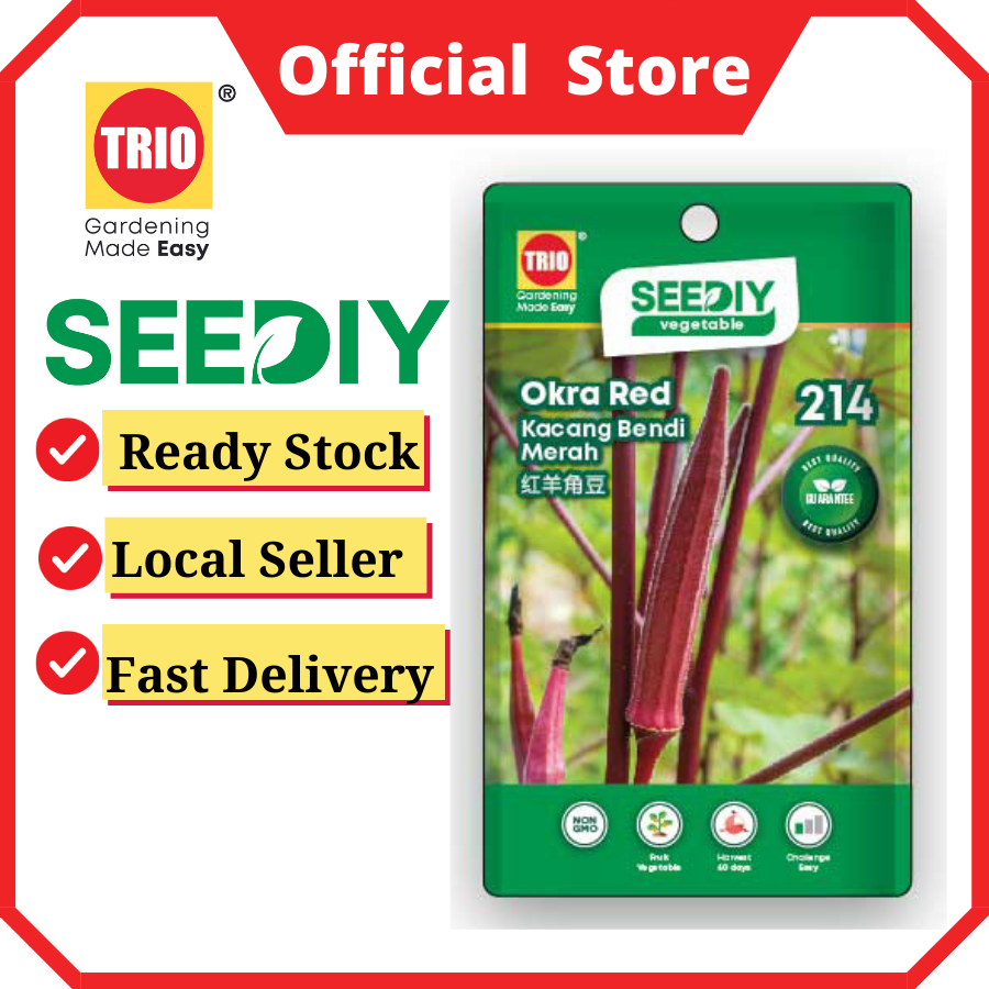 Okra Red 红羊角豆 Kacang Bendi Merah