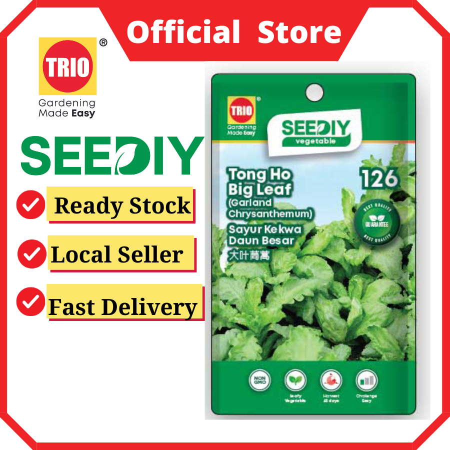 Tong Ho Big Leaf (Garland Chrysanthemum) 大叶茼蒿 Sayur Kekwa Daun Besar