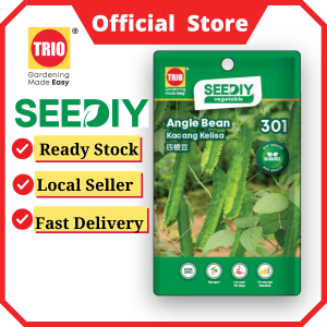 Angle Bean 四棱豆 Kacang Kelisa