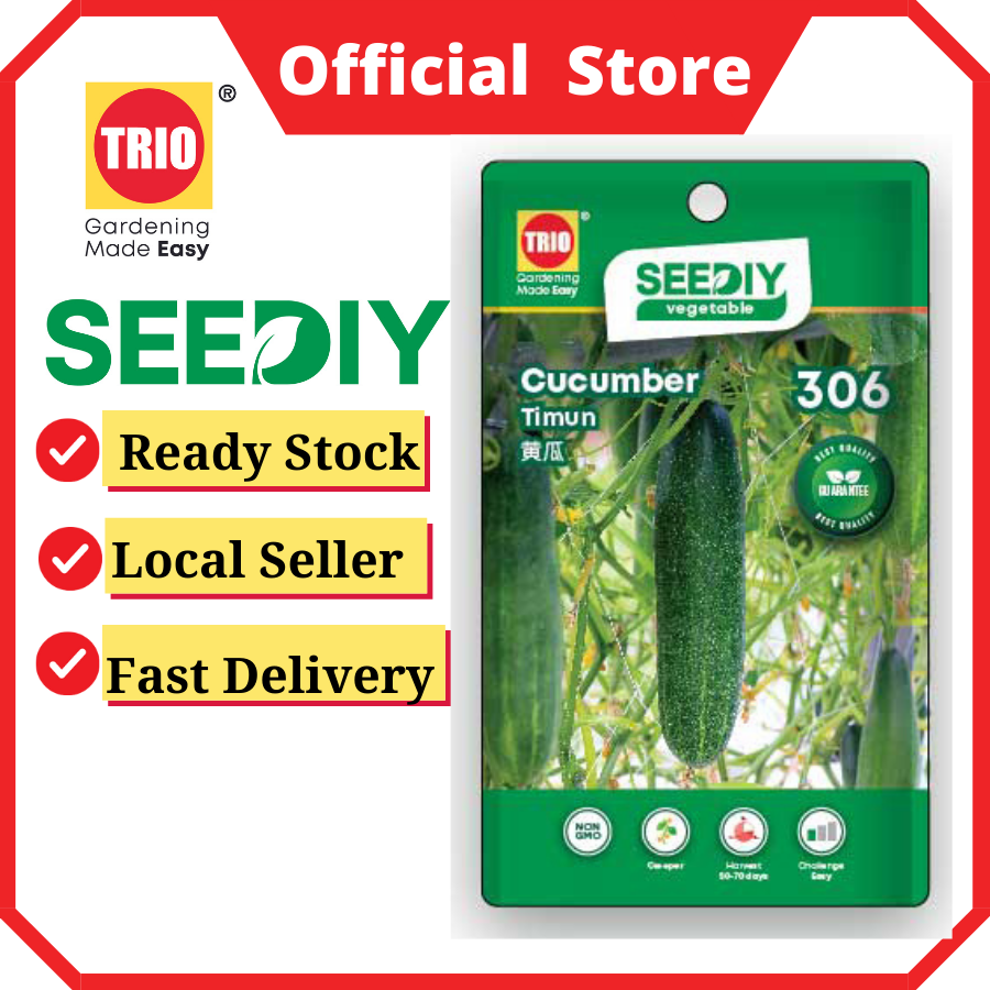 Cucumber 黄瓜 Timun
