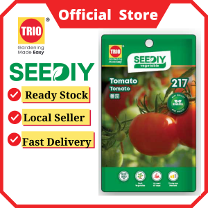 Tomato 番茄
