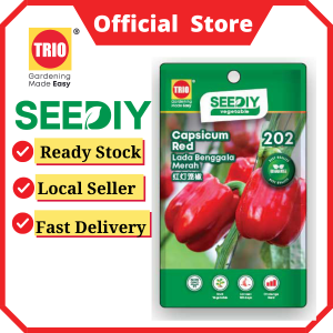 Capsicum Red 红灯笼椒 Lada Benggala Merah