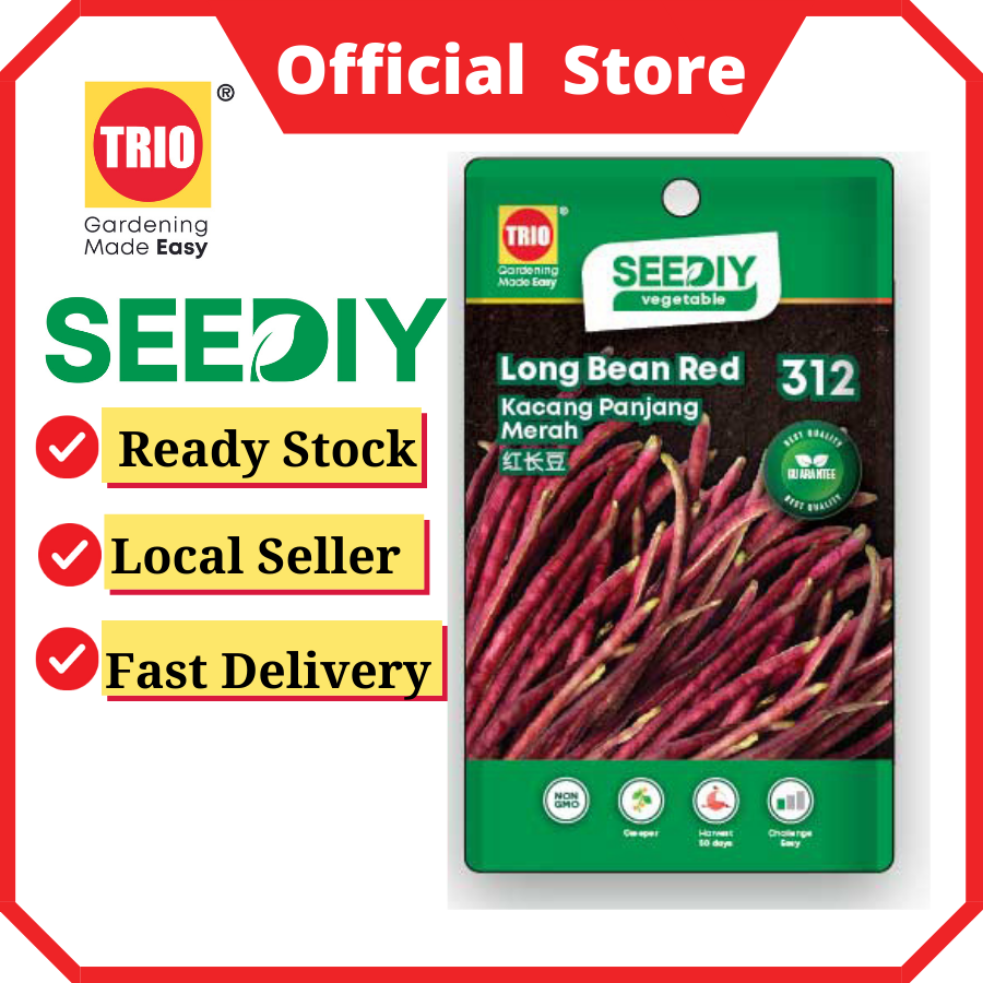 Long Bean Red 红长豆 Kacang Panjang Merah