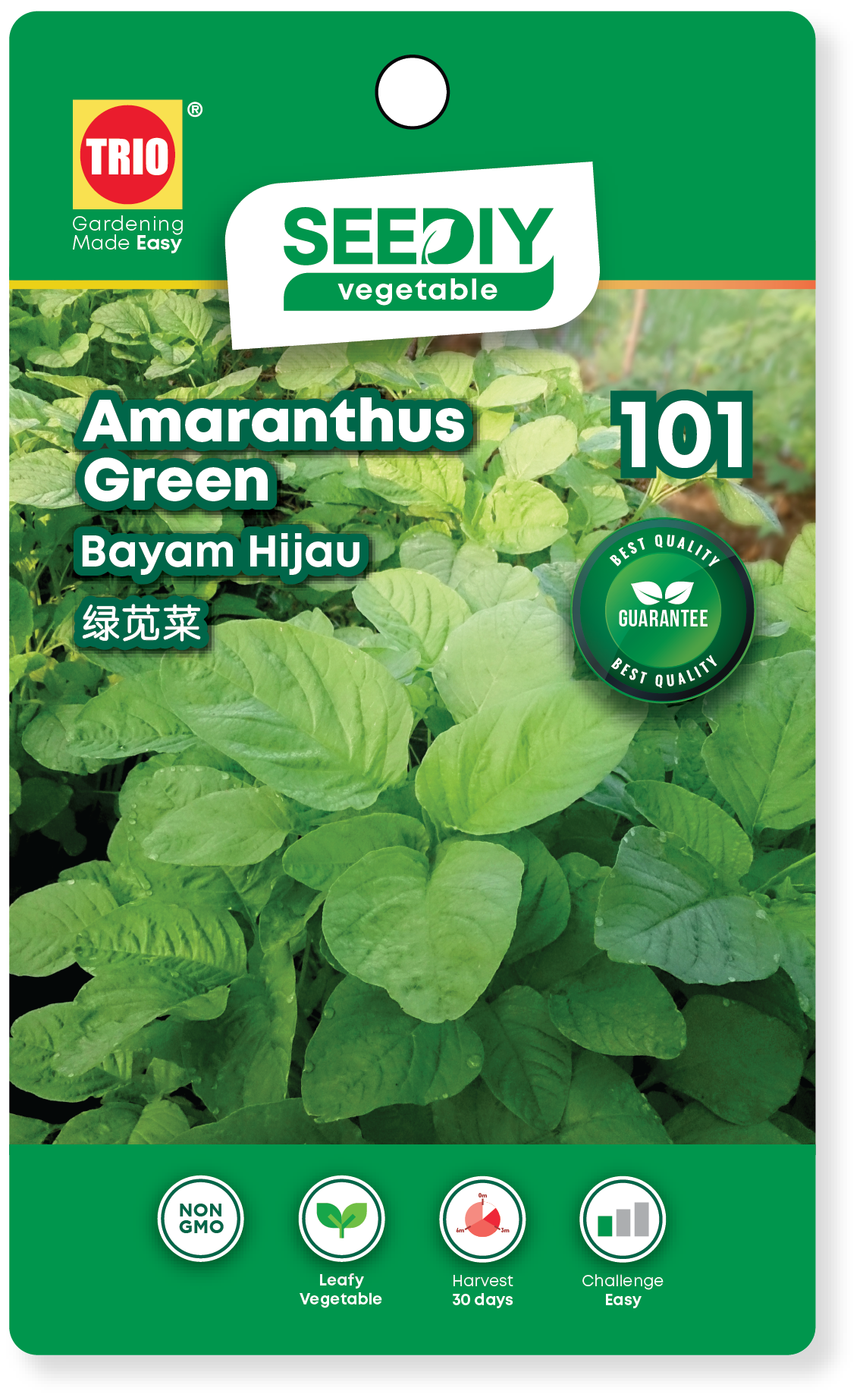 101.-Amaranthus-Green