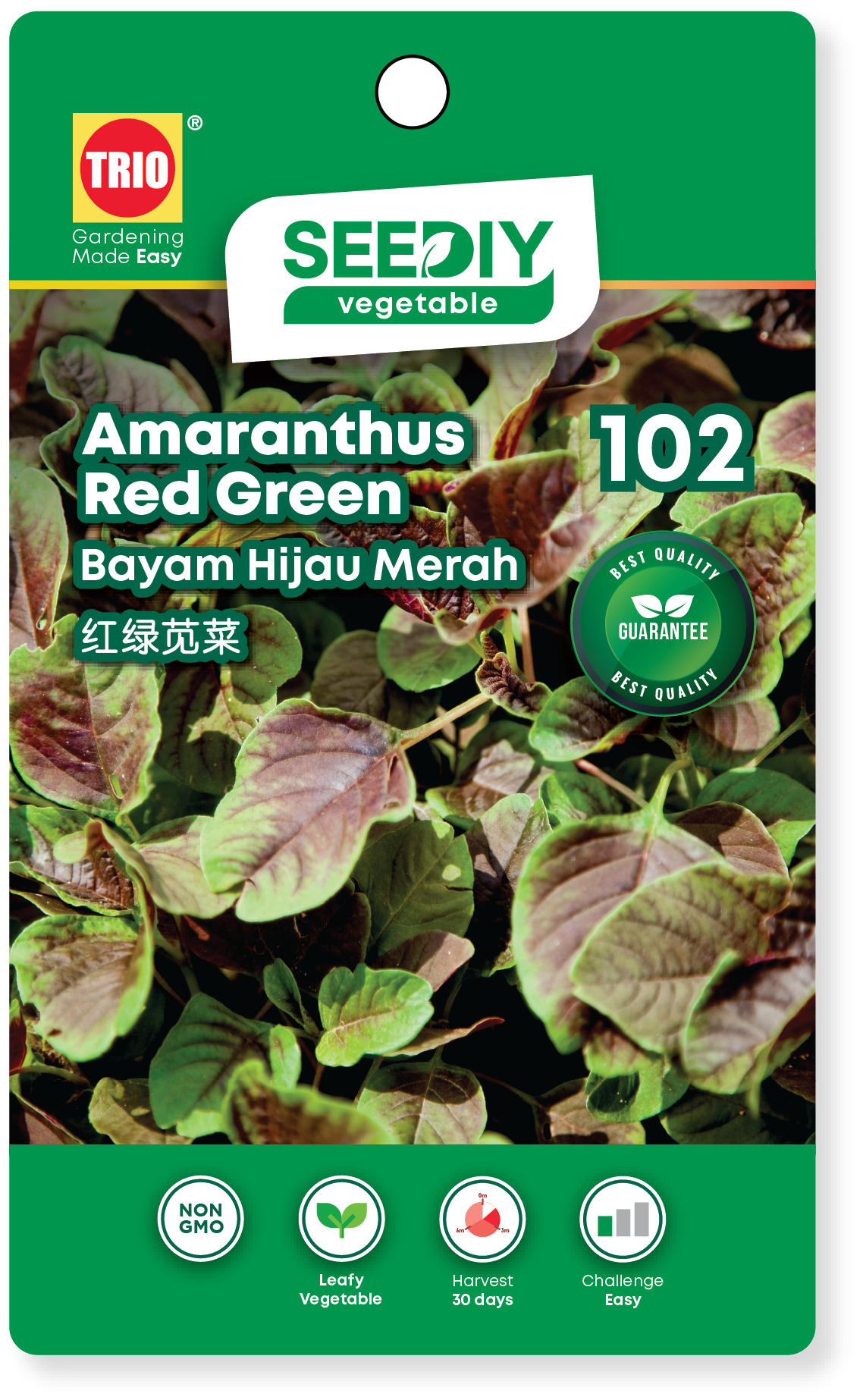 102.-Amaranthus-Red-Green